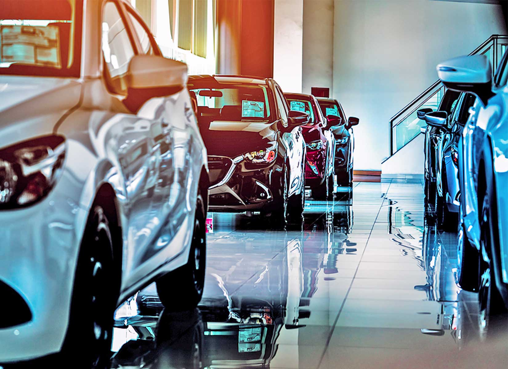 Two lines of cars inside an auto dealership
